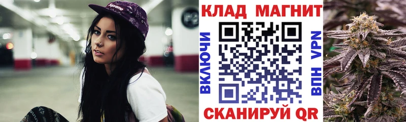 Псилоцибиновые грибы Алзамай