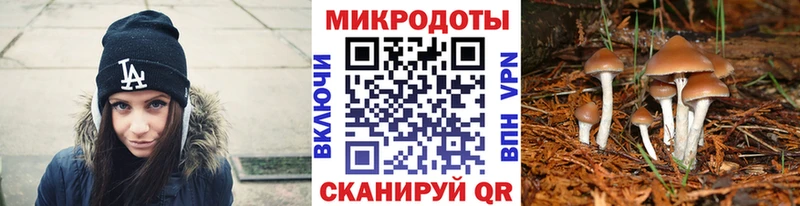 магазин Алзамай Псилоцибиновые грибы GOLDEN TEACHER