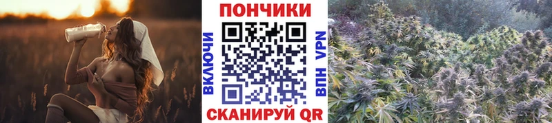 Каннабис White Widow  гидра рабочий сайт  Алзамай 